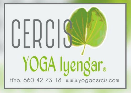 Intensivo yoga Iyengar sabado