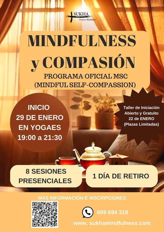 PROGRAMA DE MINDFULNESS Y COPASIN (MSC)