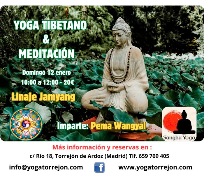 TALLER DE YOGA TIBETANO Y MEDITACIN 