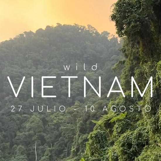 WILD Vietnam (nueva ruta)